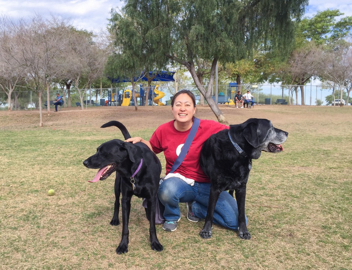 Kathie, Opie, and Max at the Quail Run Dog Park in Mesa AZ.