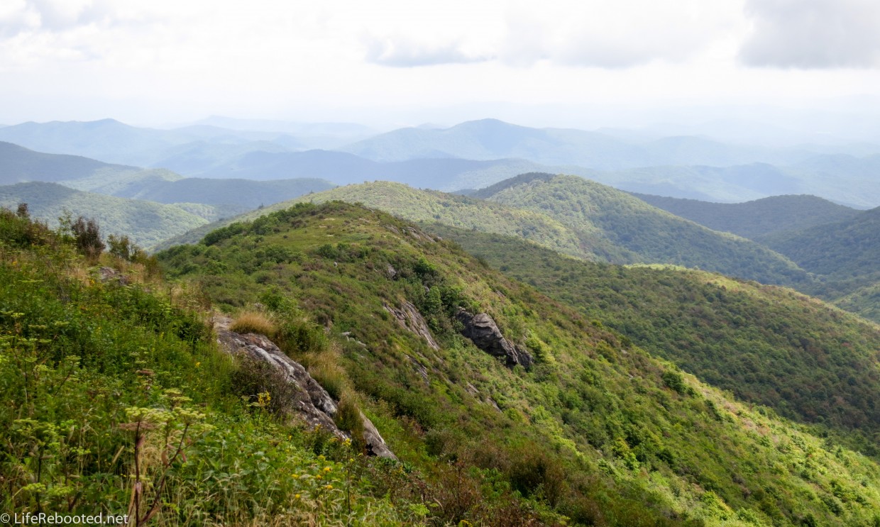 View from the bald