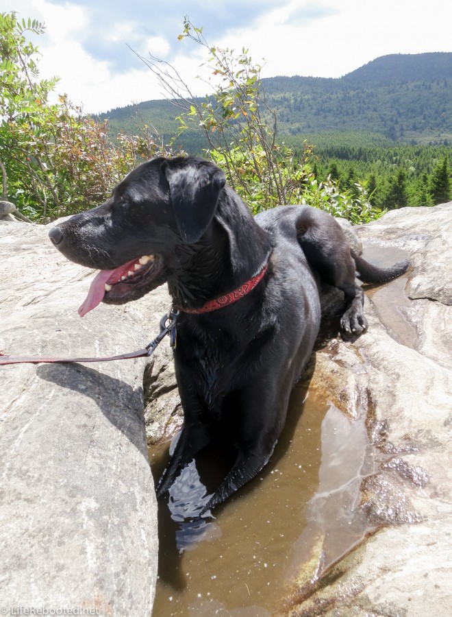 Opie gets his feet wet