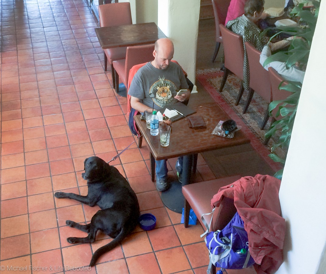 Opie likes checking out dog-friendly restaurants!