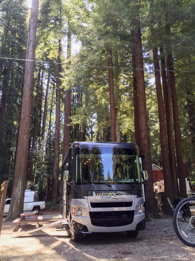 Rover parked at Santa Cruz Redwoods RV Resort