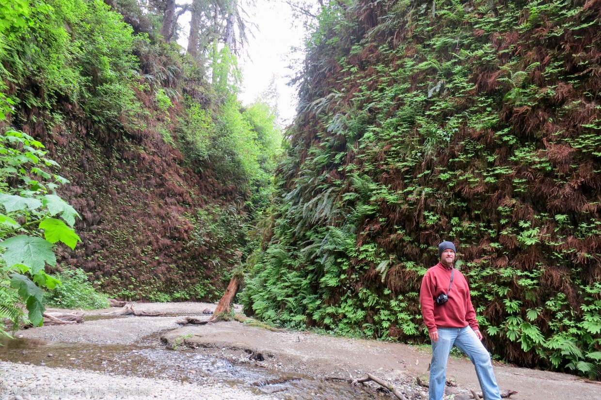 Mike in Fern Canyon