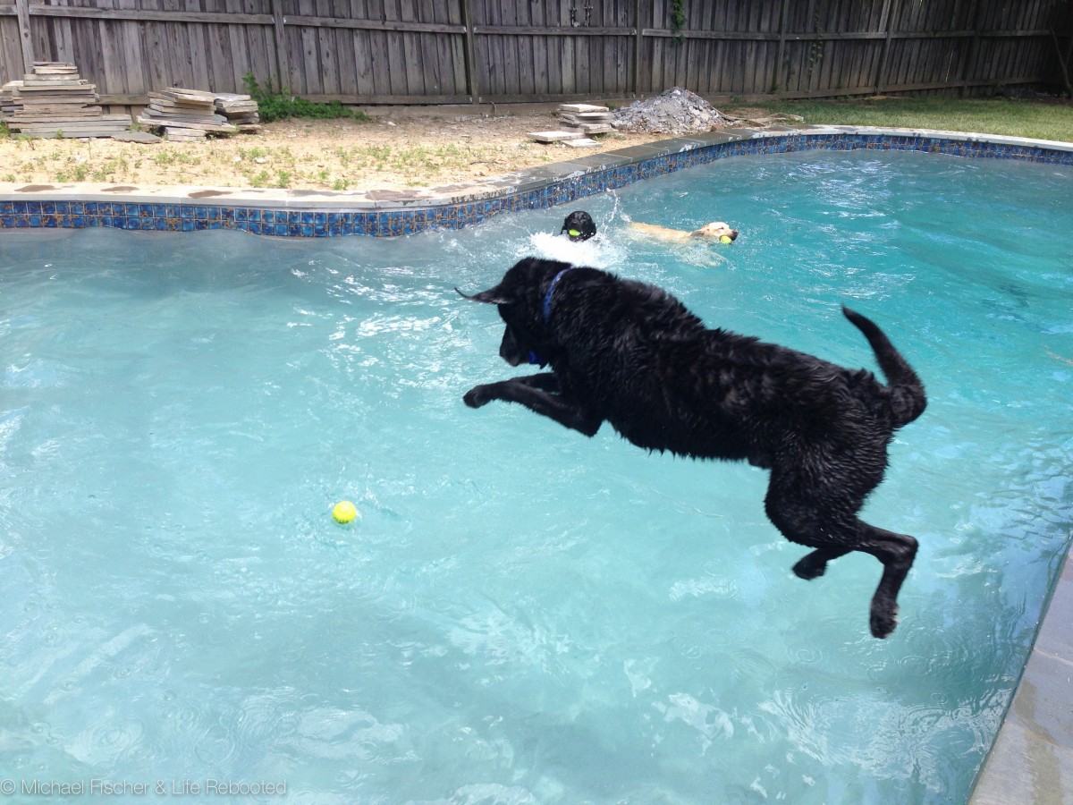 It's hard to believe that just two years ago Max was still jumping in the pool.