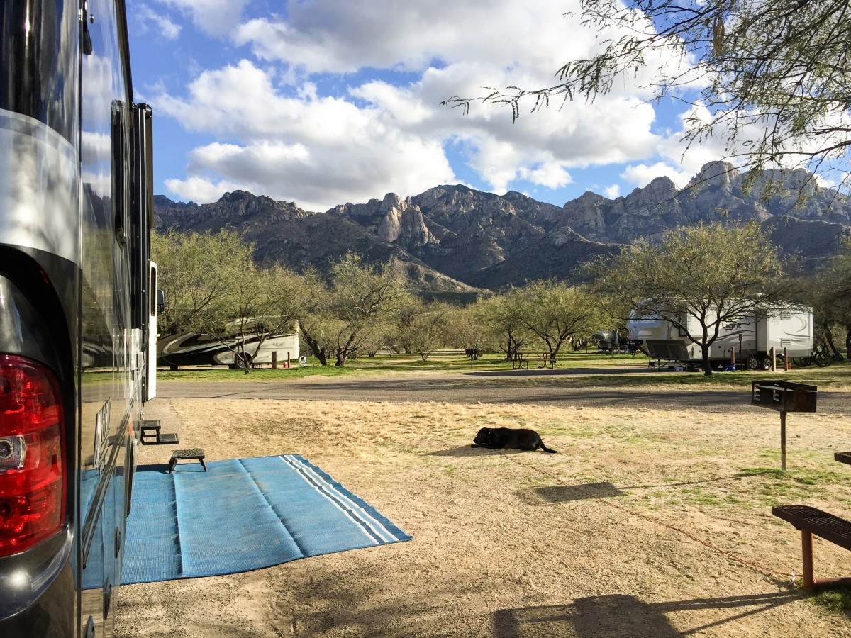 Our awesome view for the next 9 days at Catalina State Park