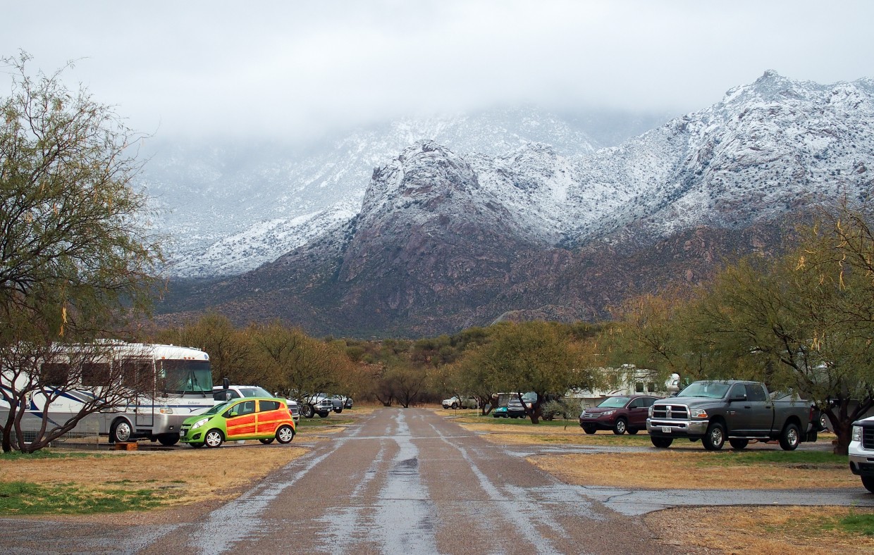 Rain for us meant snow in the Catalina mountains.