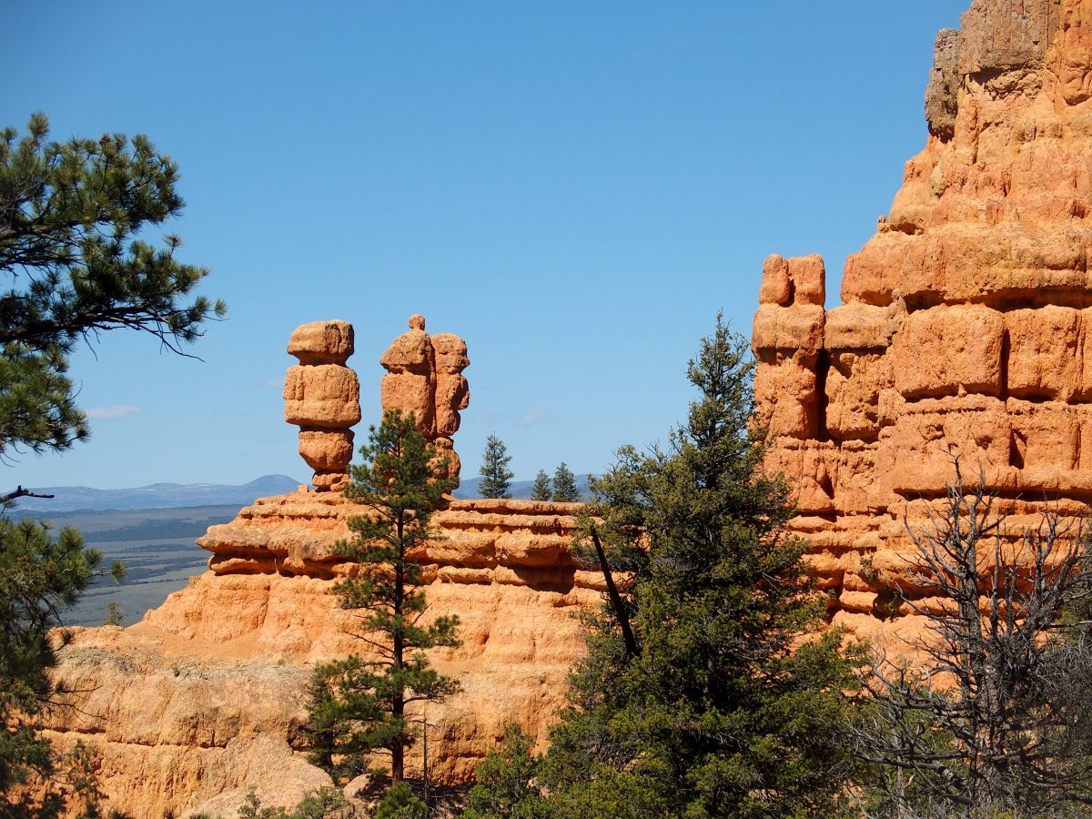 Some of the Hoodoos in Red Canyon.