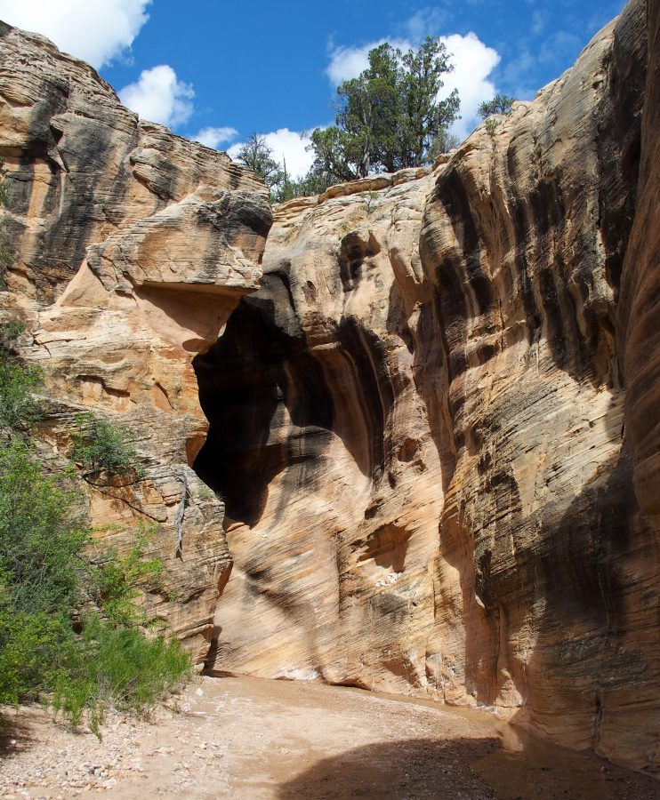 The Willis Creek slot canyon widens and narrows again several times.
