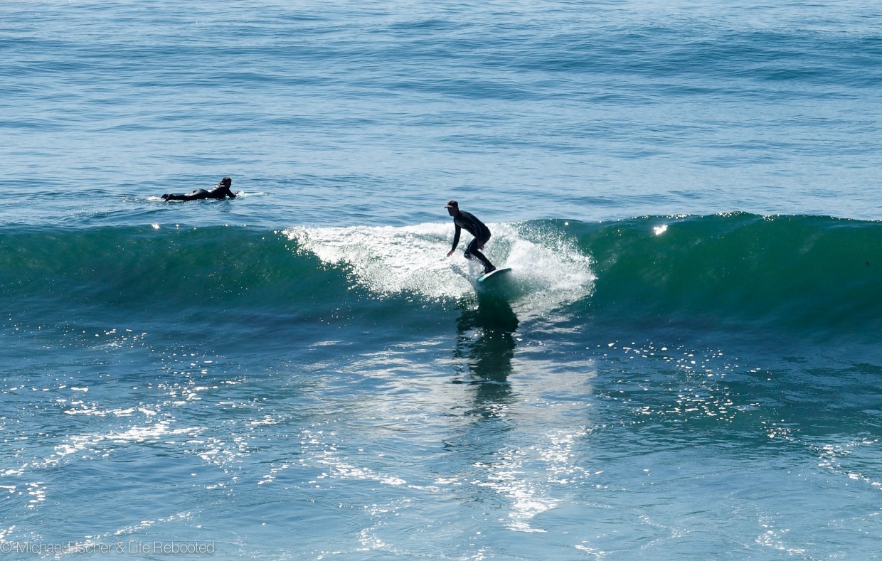 Surf's up!