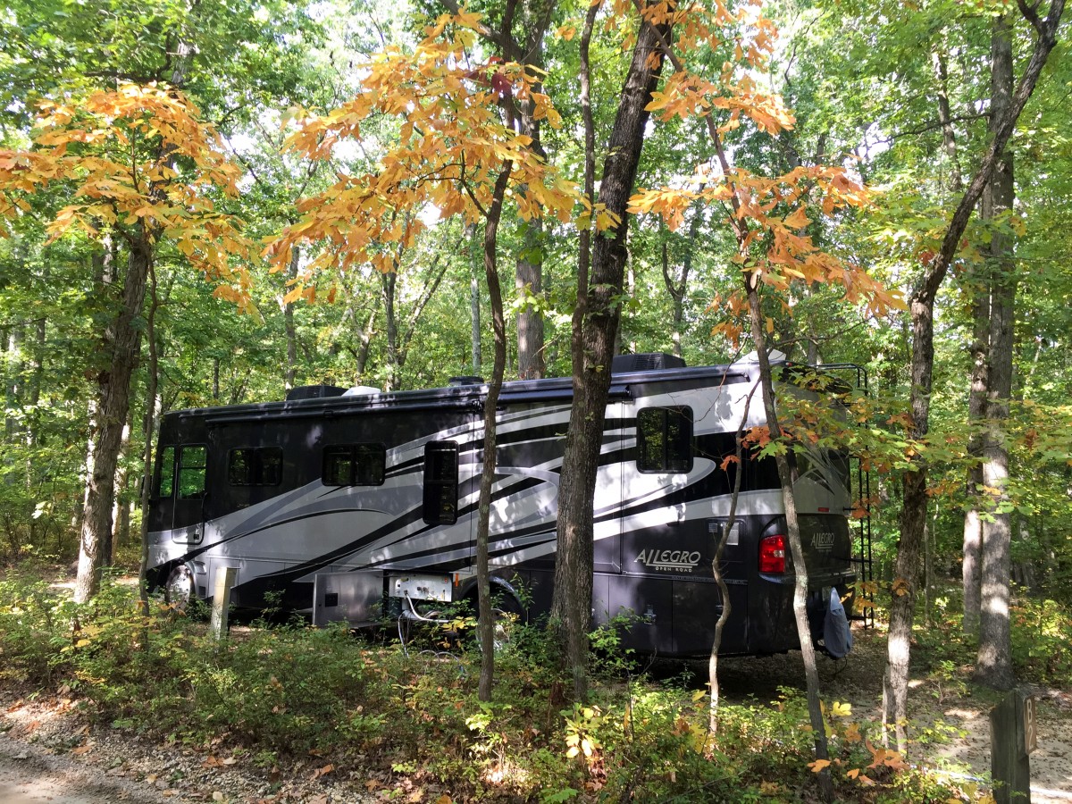 Rover tucked into a wooded site at Turkey Swamp Park.