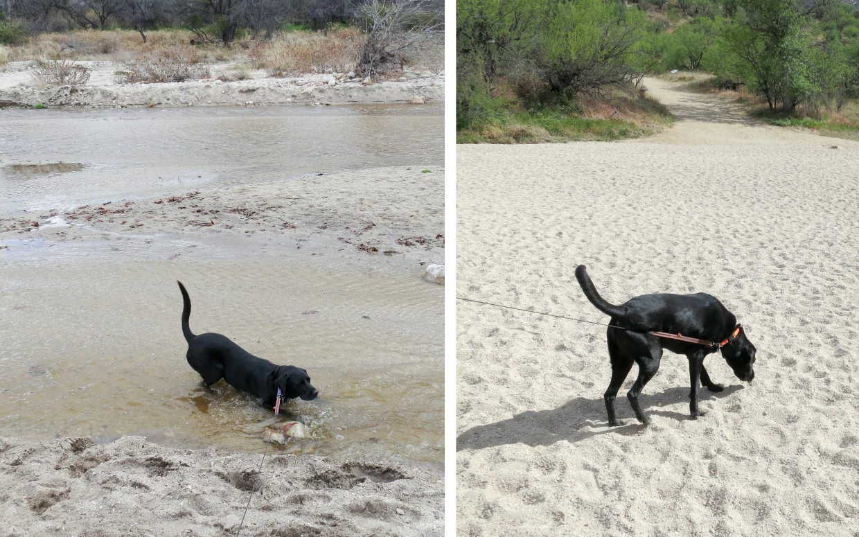 January and March 2016