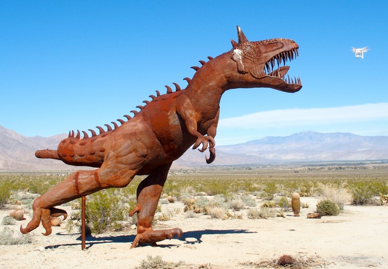 Life Rebooted Borrego Springs Sculpture Tour